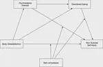 Body dissatisfaction and non-suicidal self-injury among Chinese young adults: a moderated mediation analysis